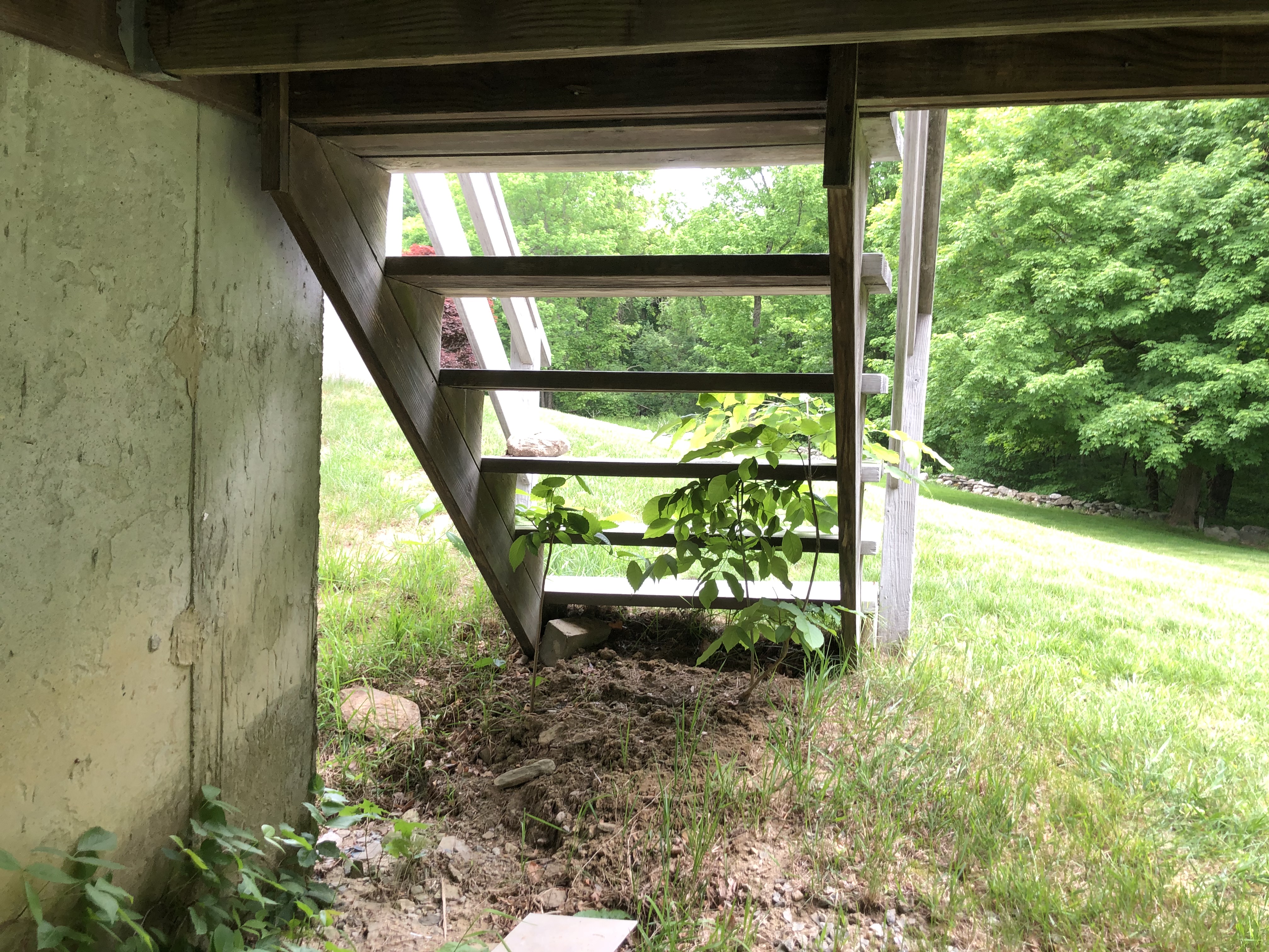 Under Original Deck / Stairs
