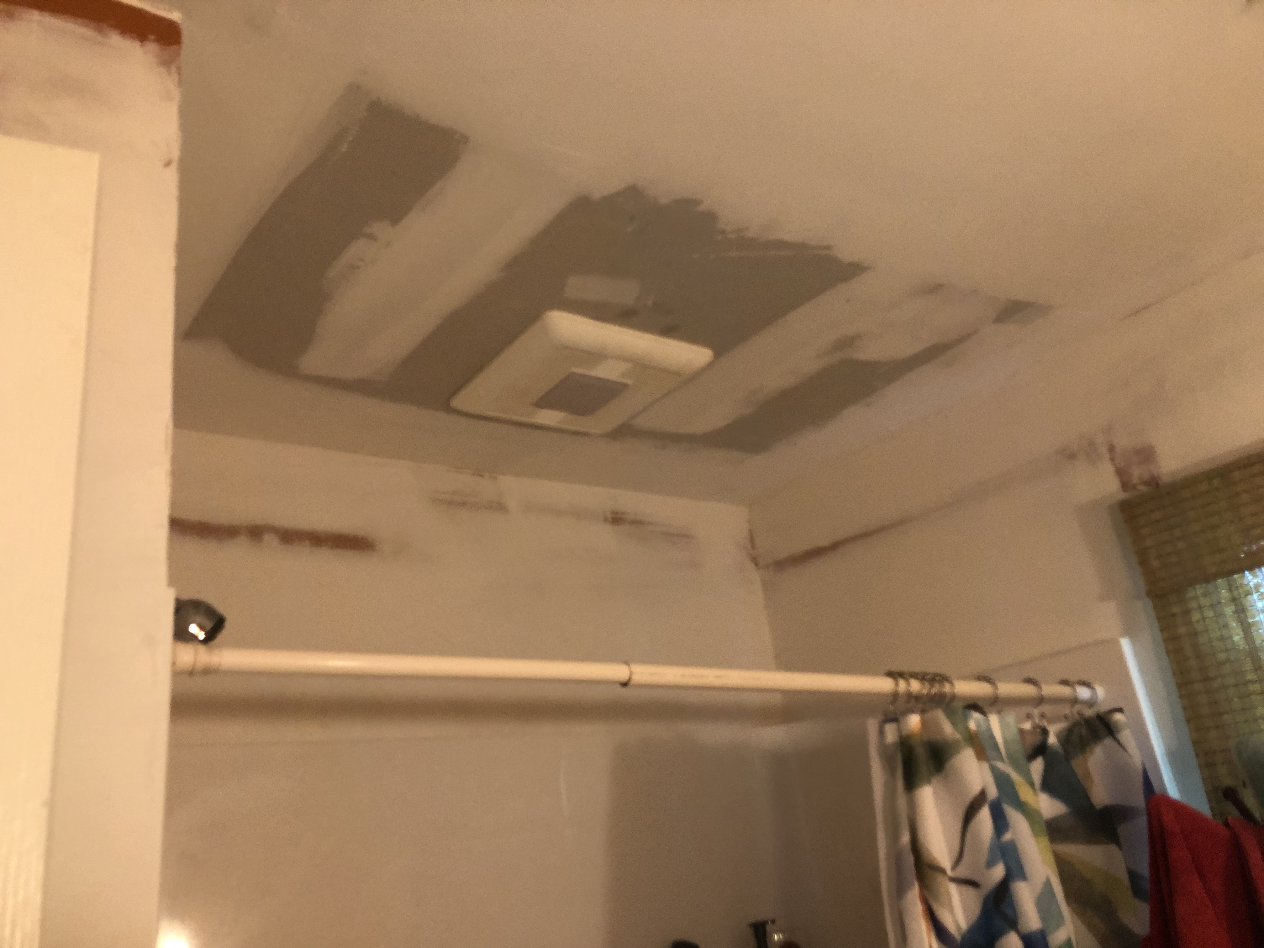 Ceiling Repair