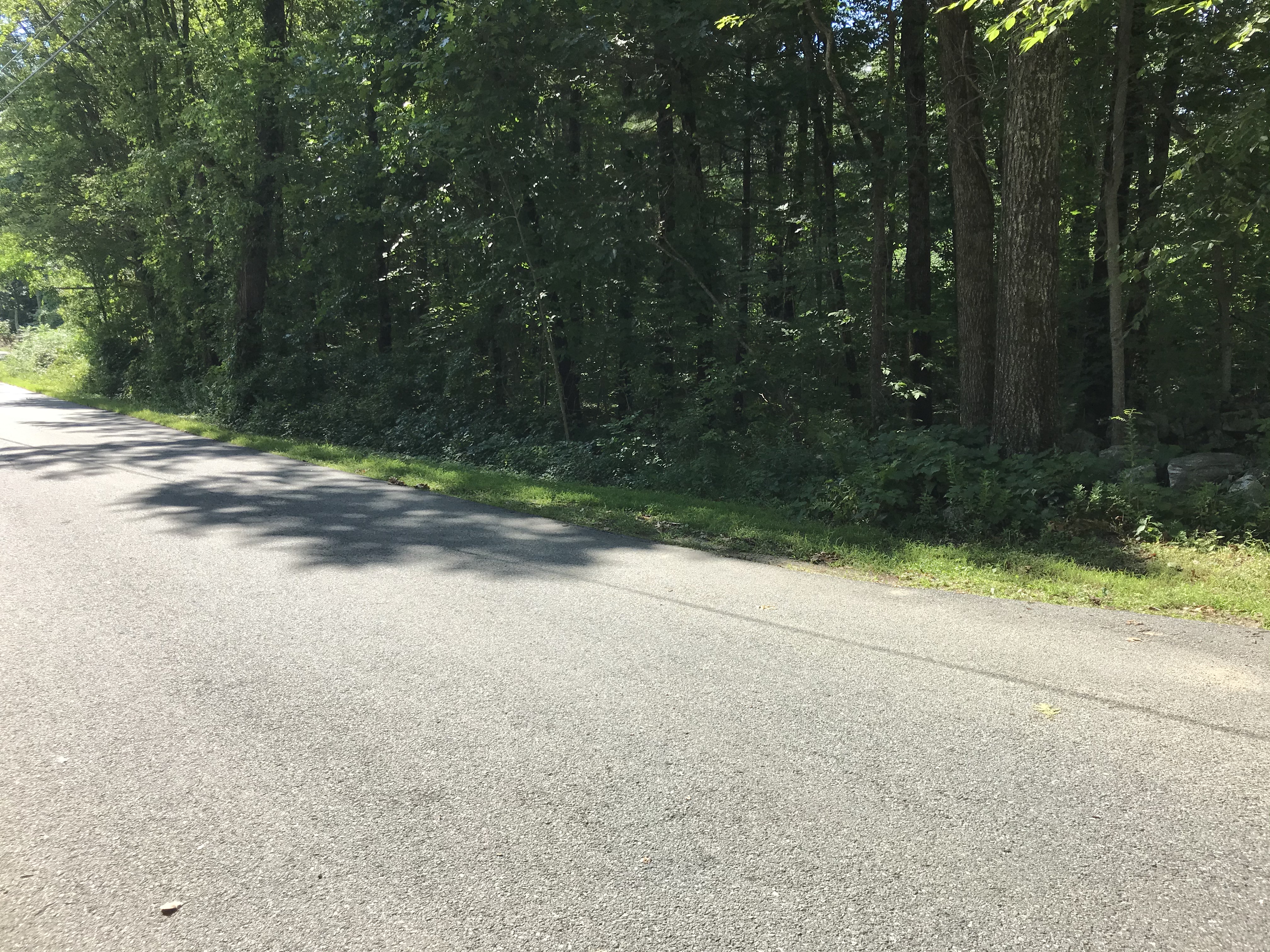 Before the Clearing Begins