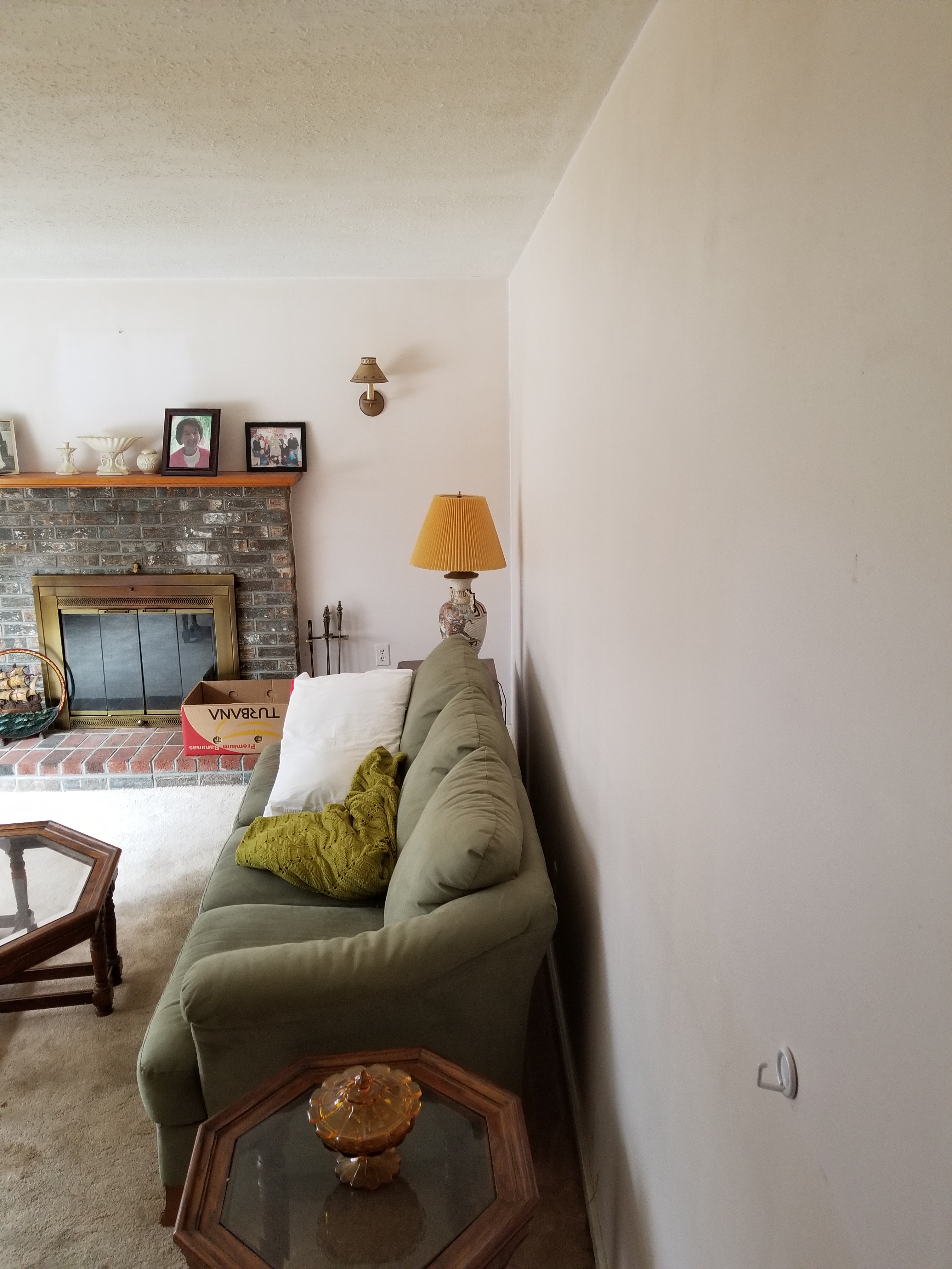 Living Room - Before