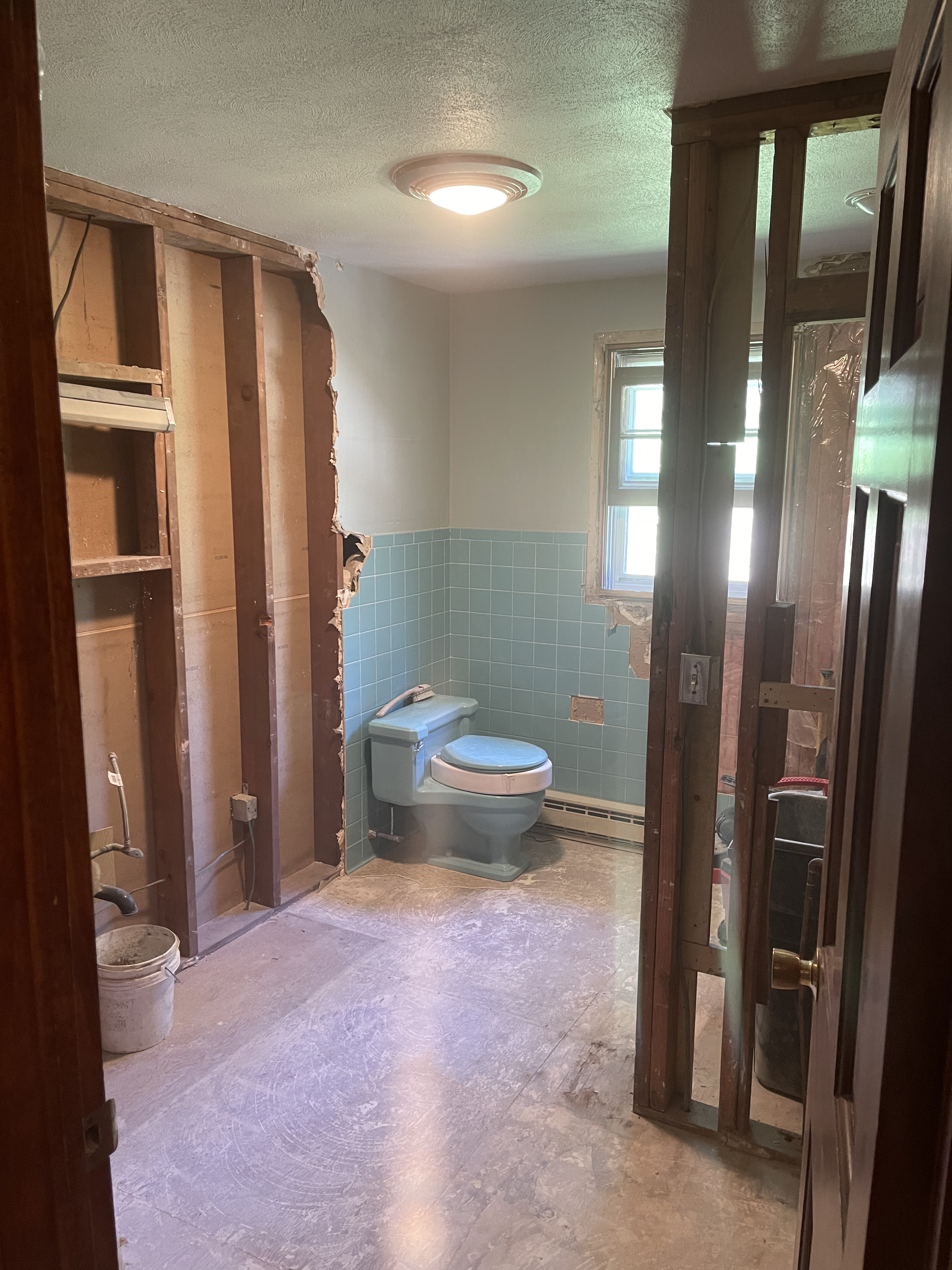 Bathroom Demolition