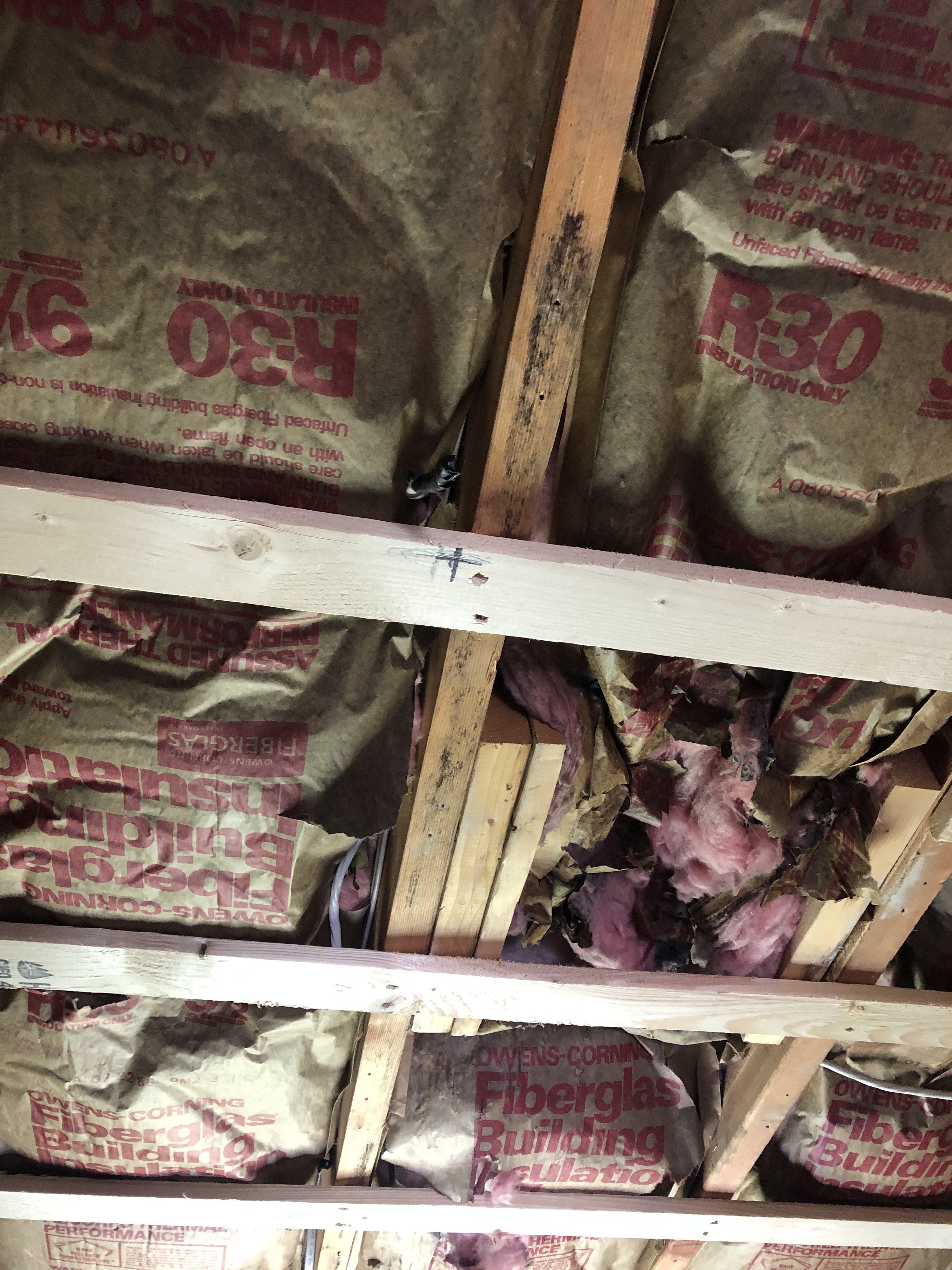 Framing and Installation