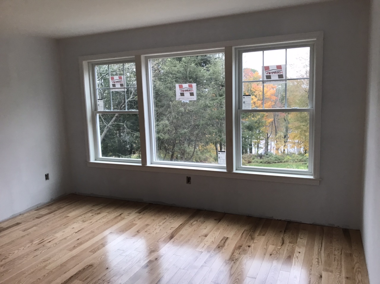 New Floor / Windows