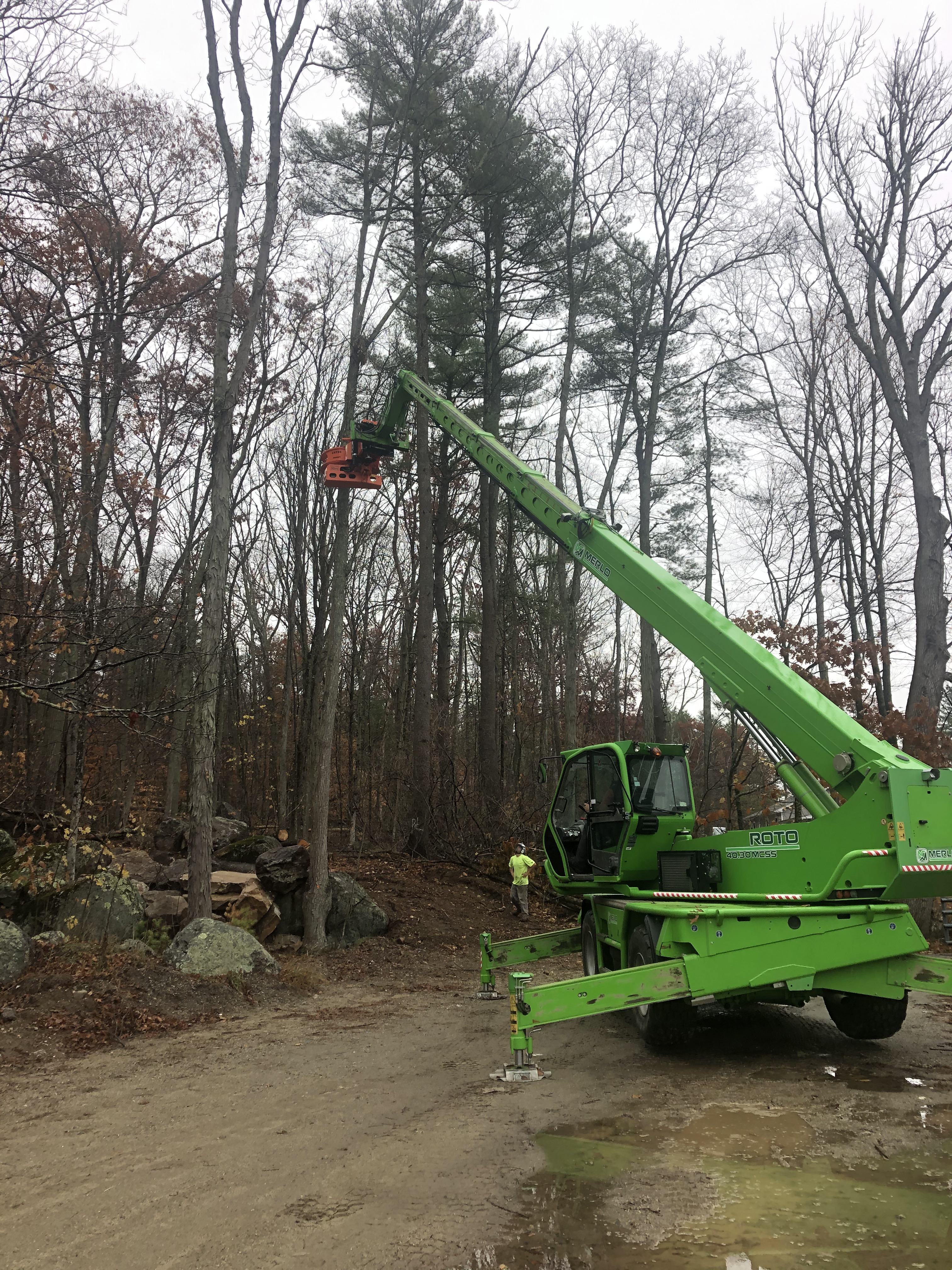 Clearing Out Behind the Building