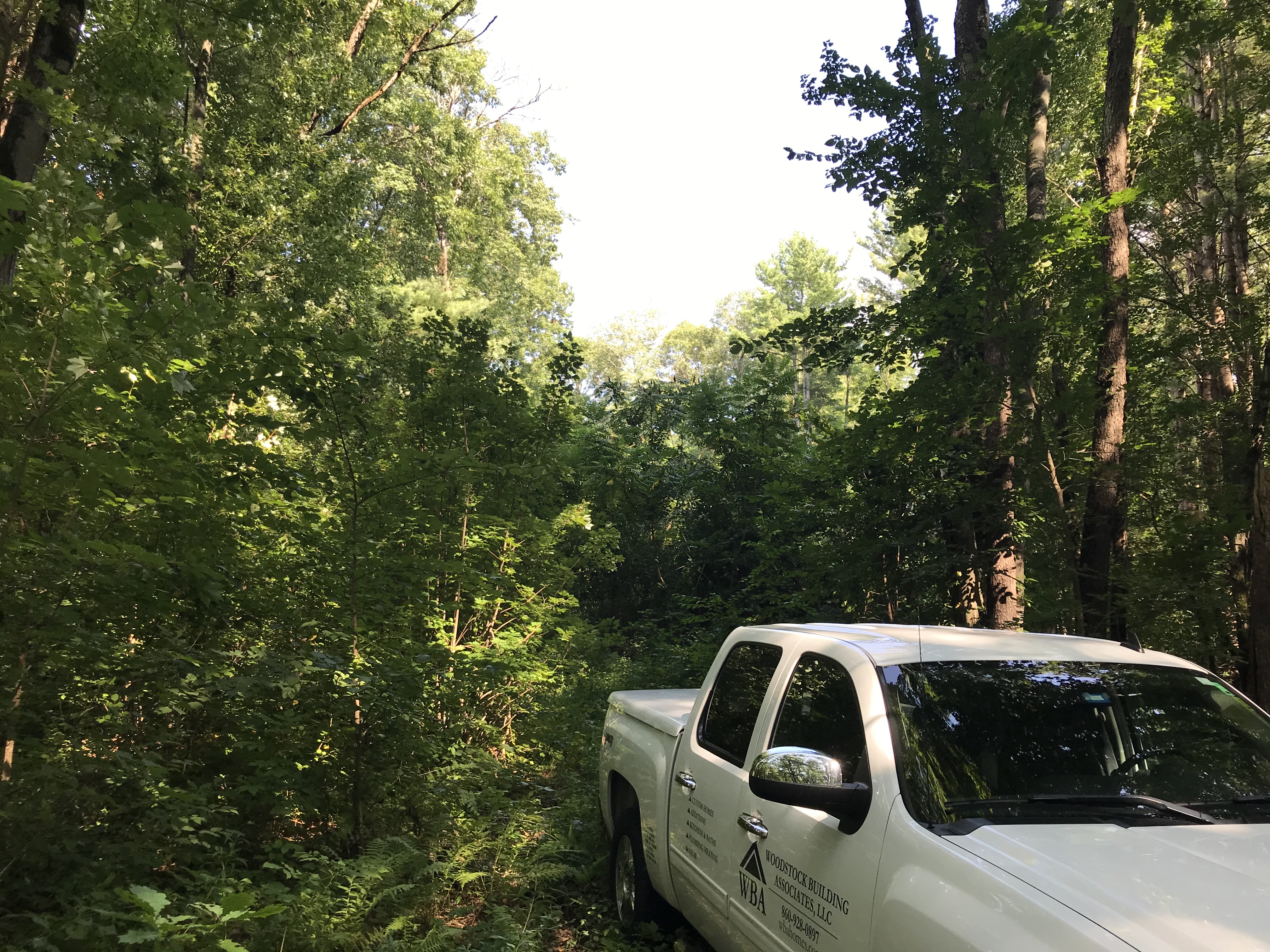 Before the Clearing Begins