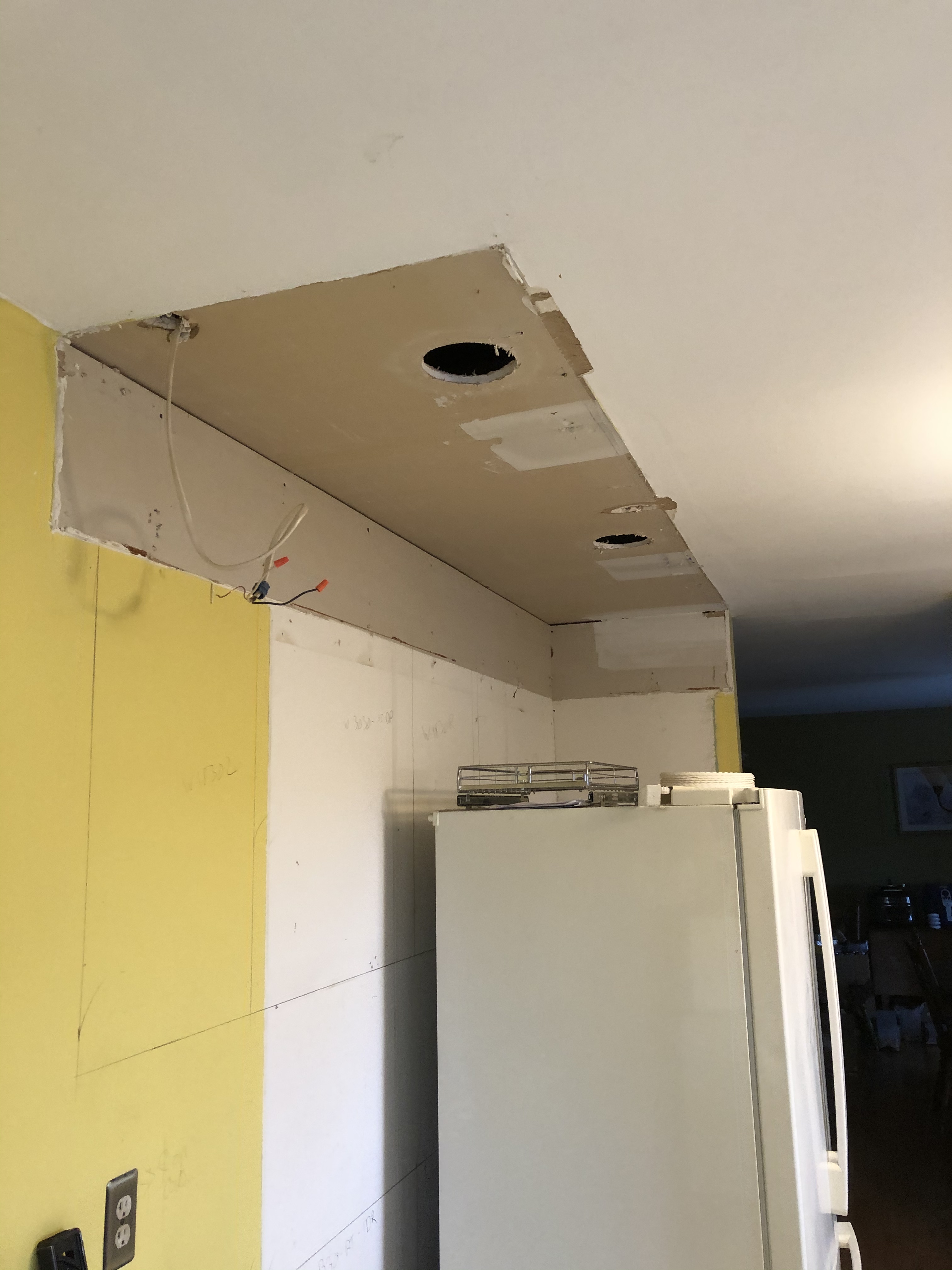 Kitchen Demolition