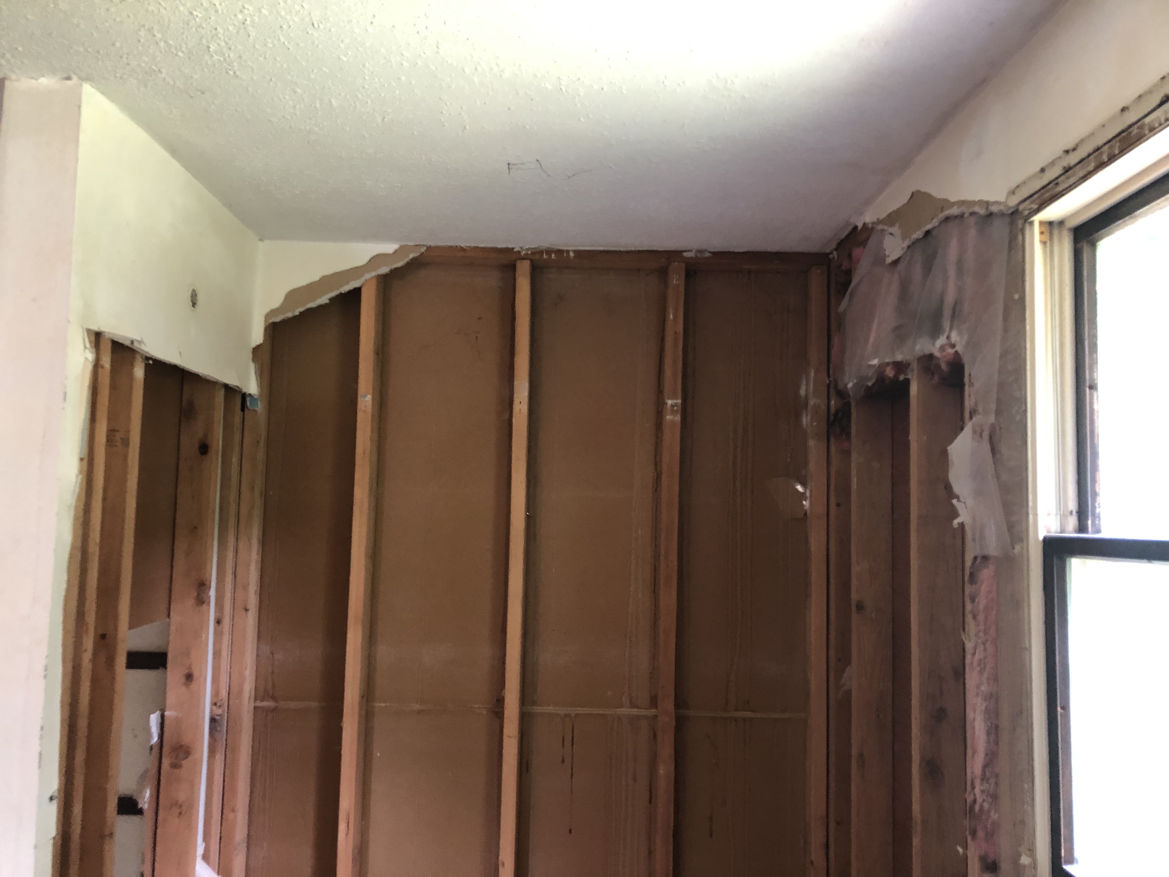 Dining Room Demolition