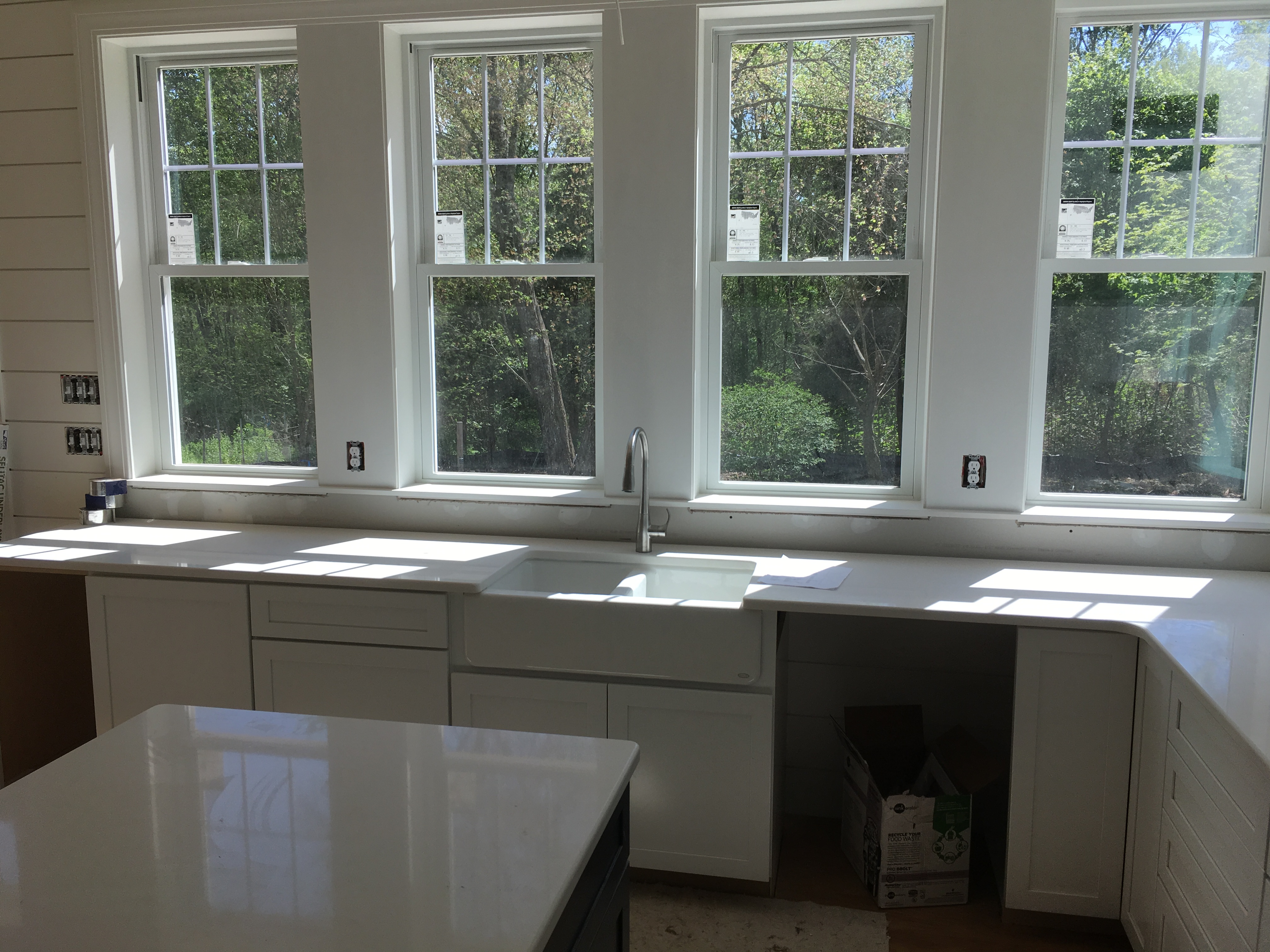 Cabinets and Counter Top