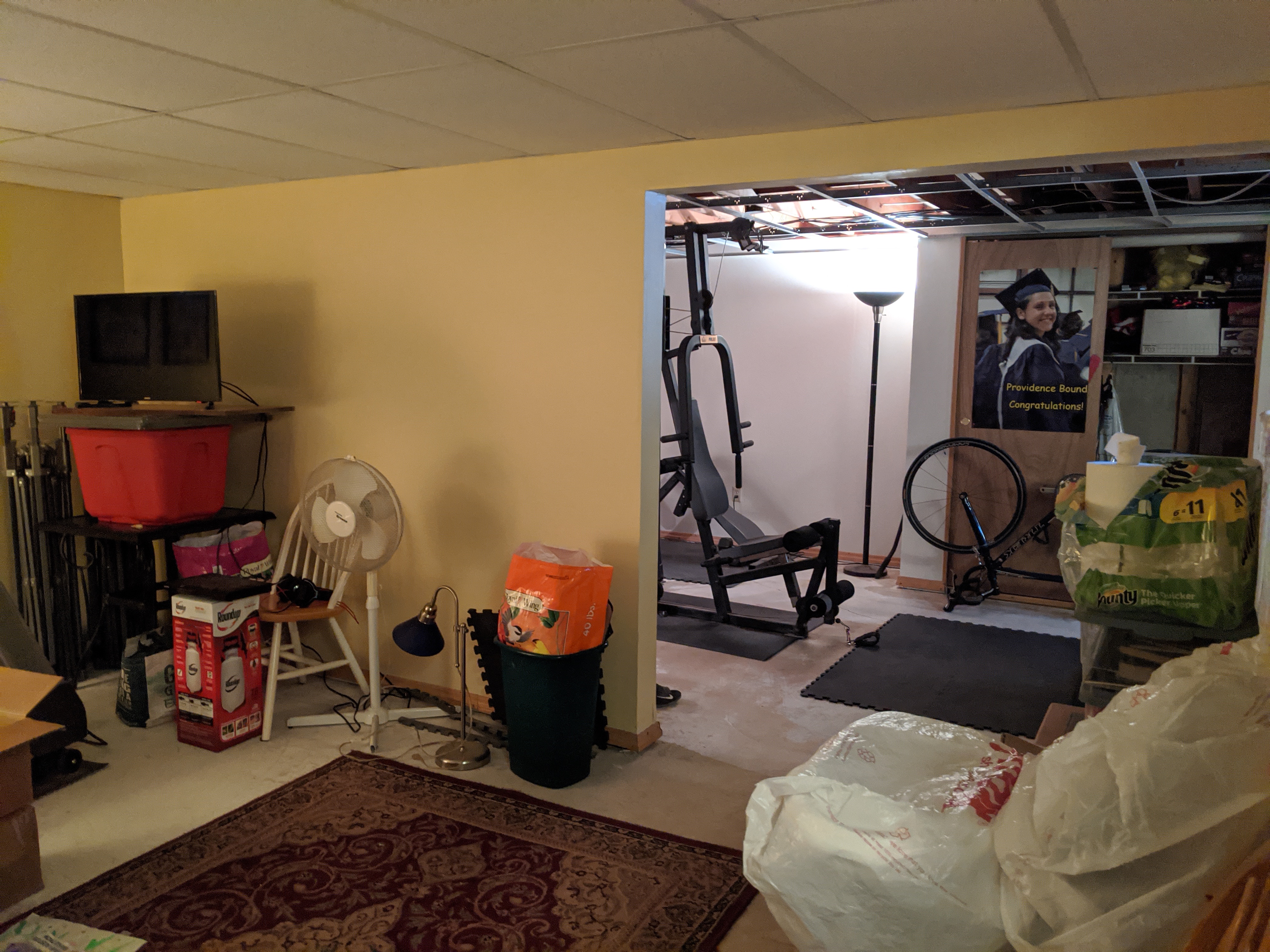 Before Basement Remodel