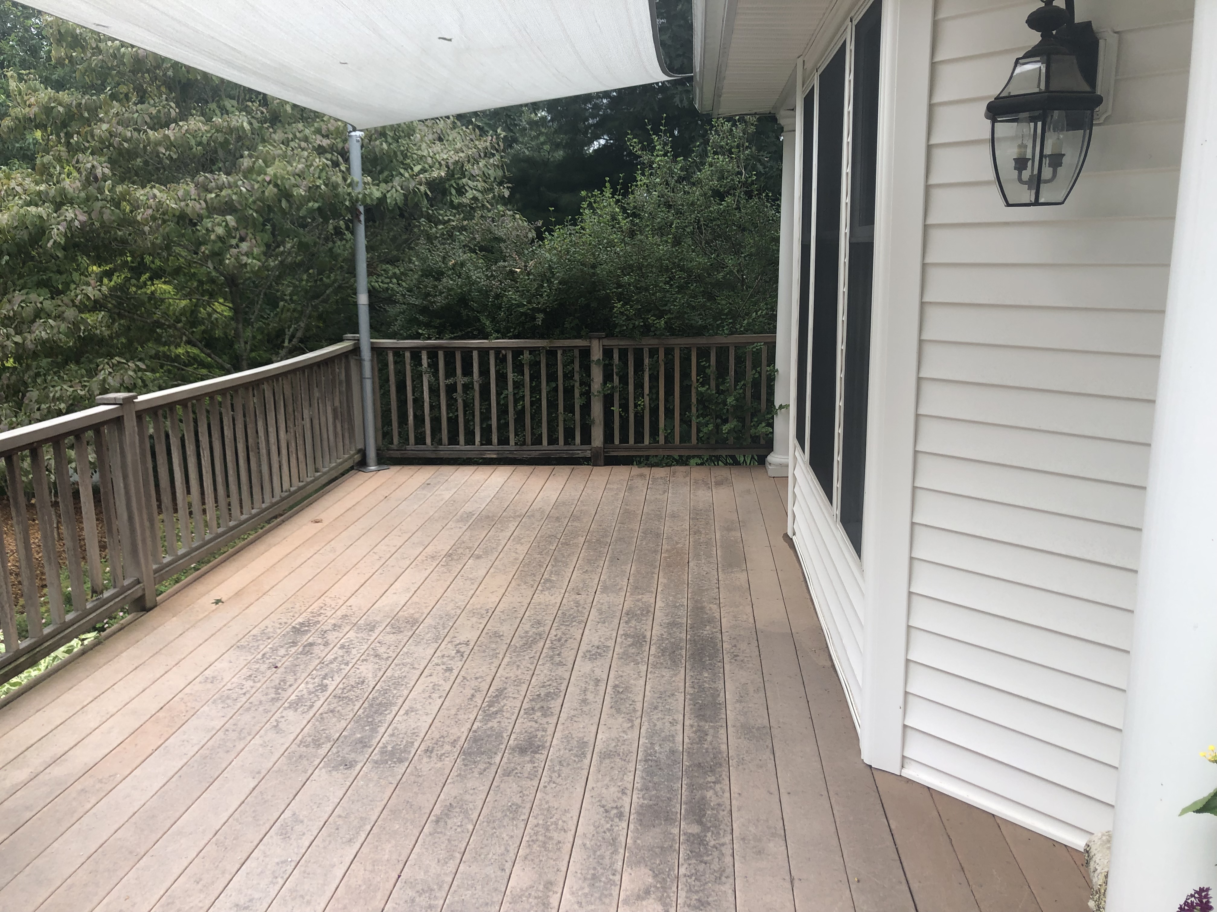 Deck - Before