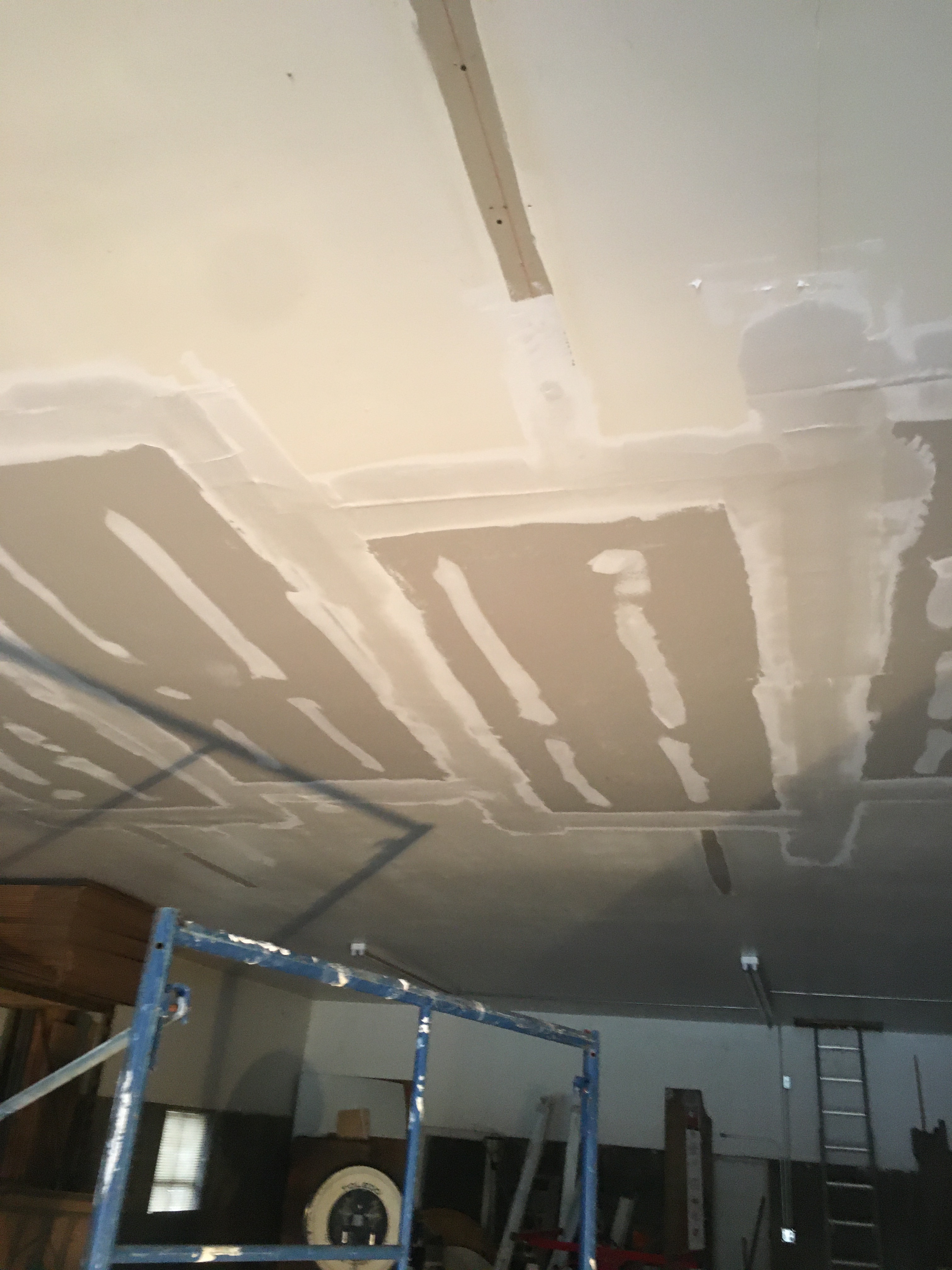 Ceiling Repair