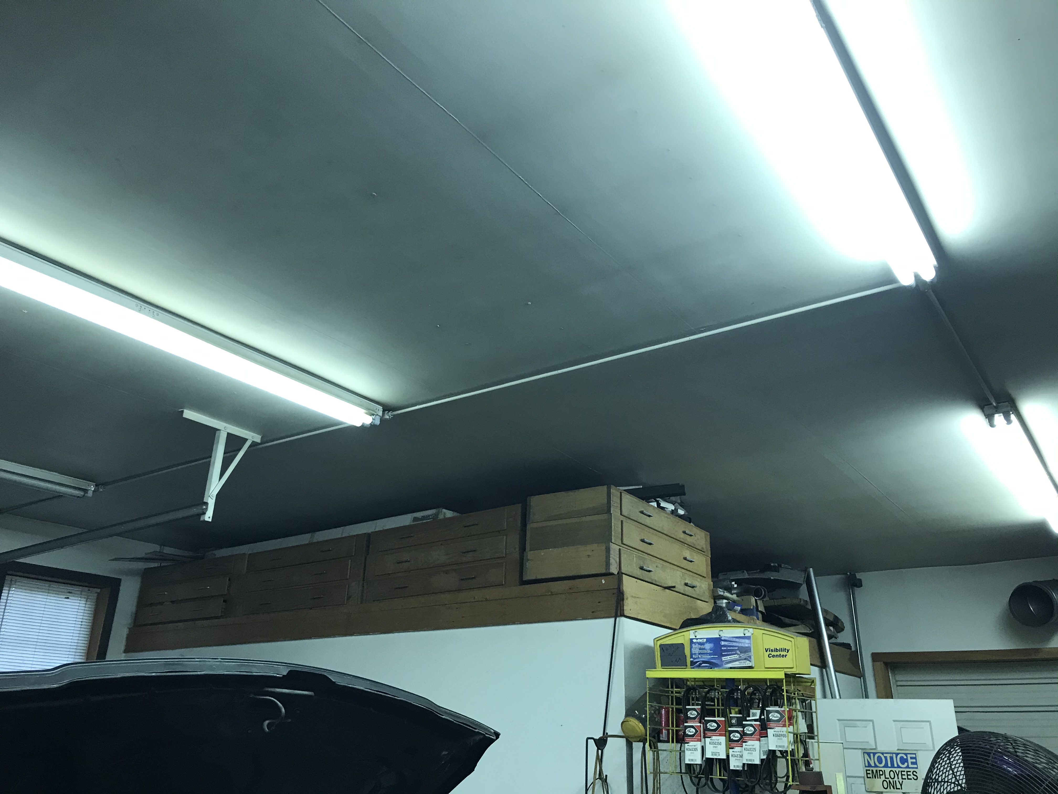 Froehlich - Tree Damage