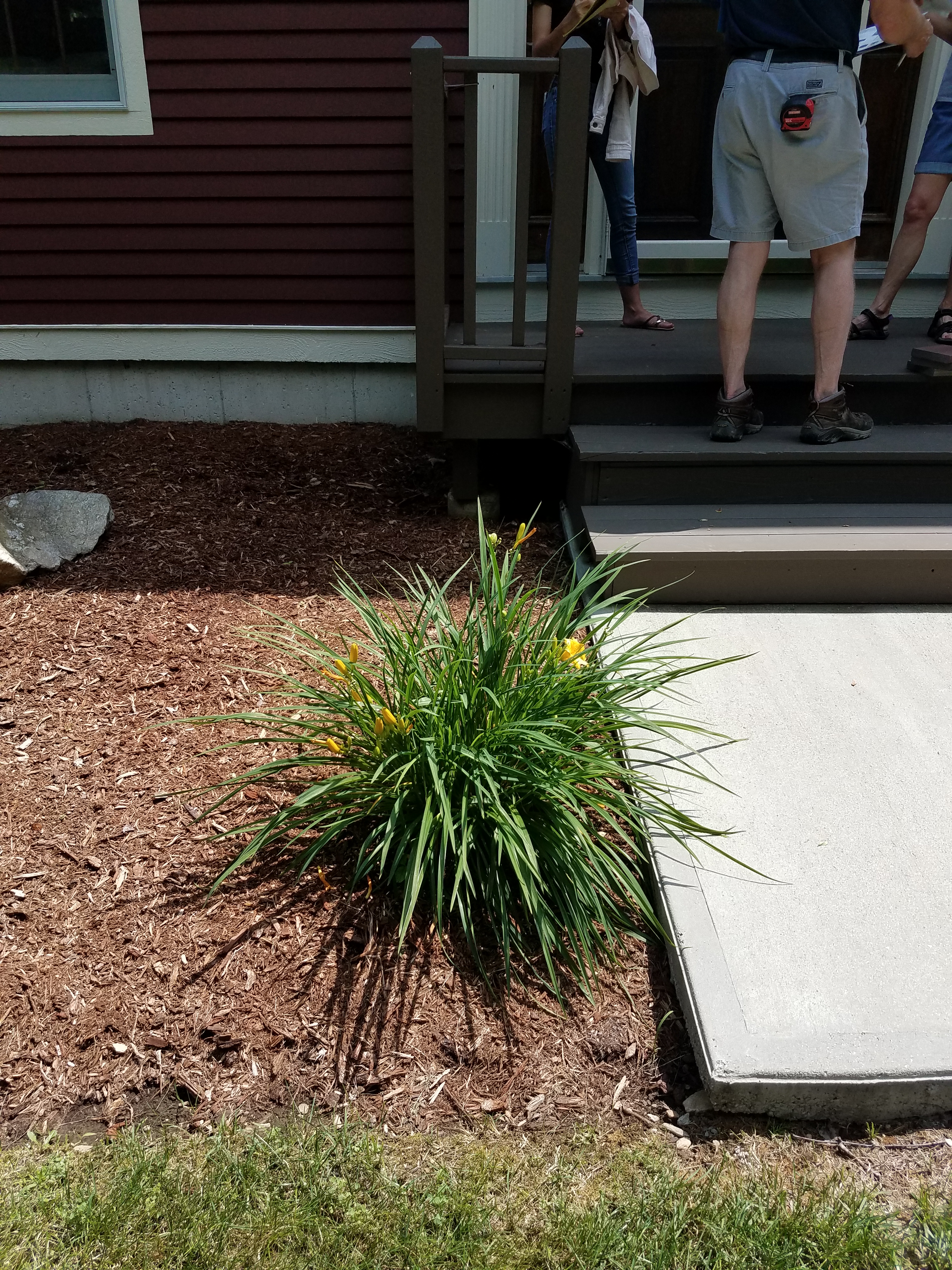 Front Landing - Before