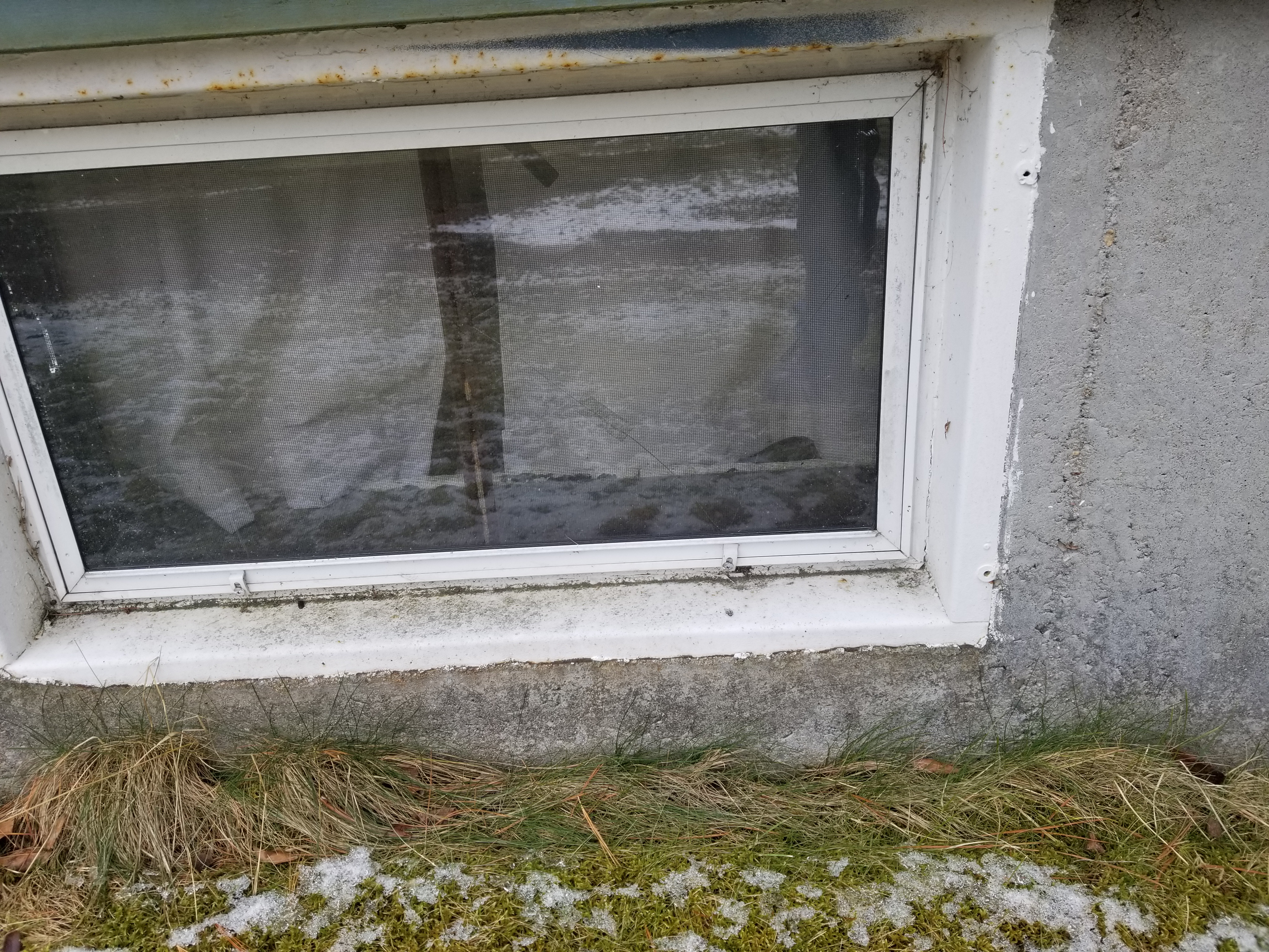 Basement Window - Before