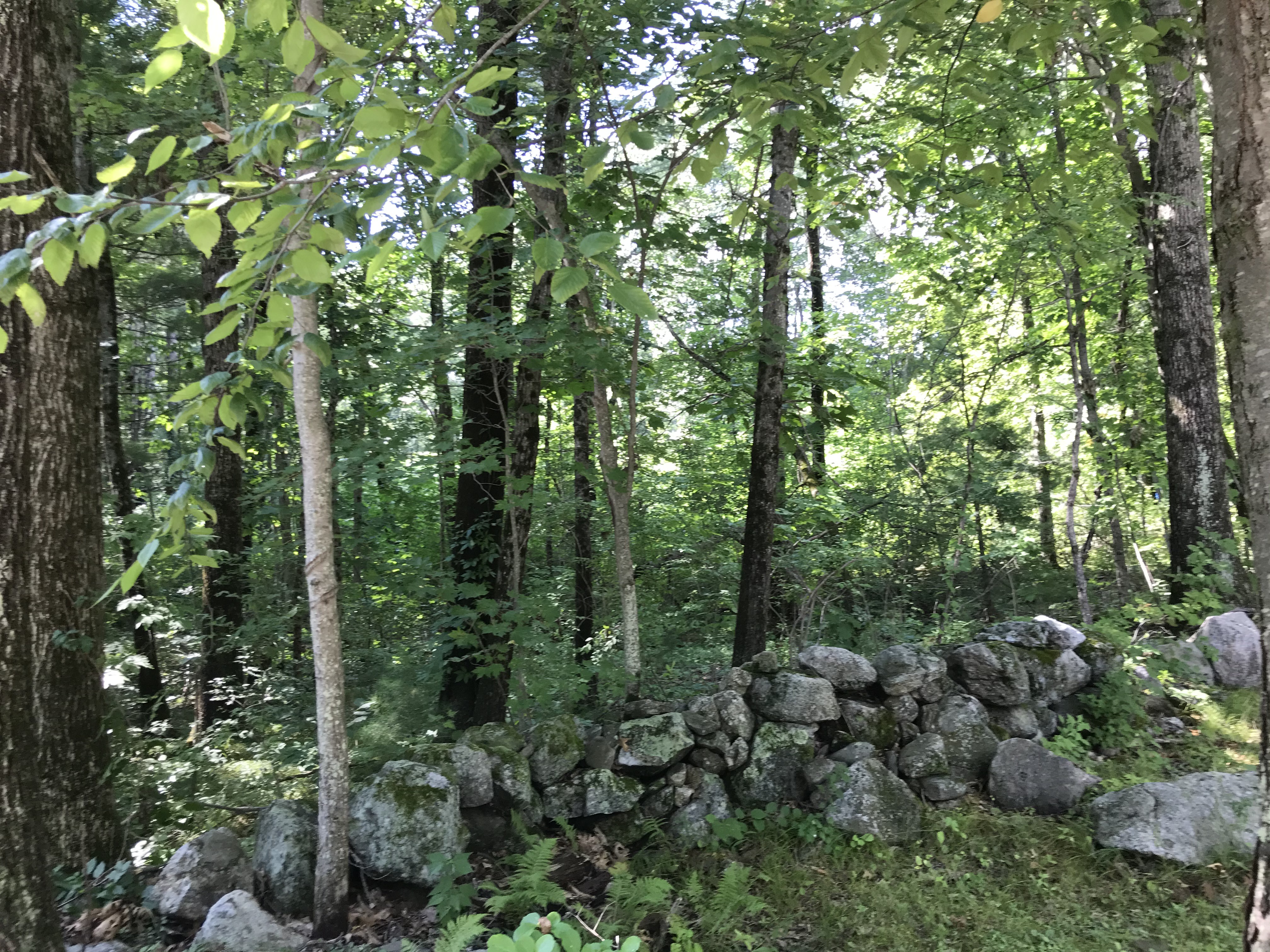 Beautiful Stone Wall