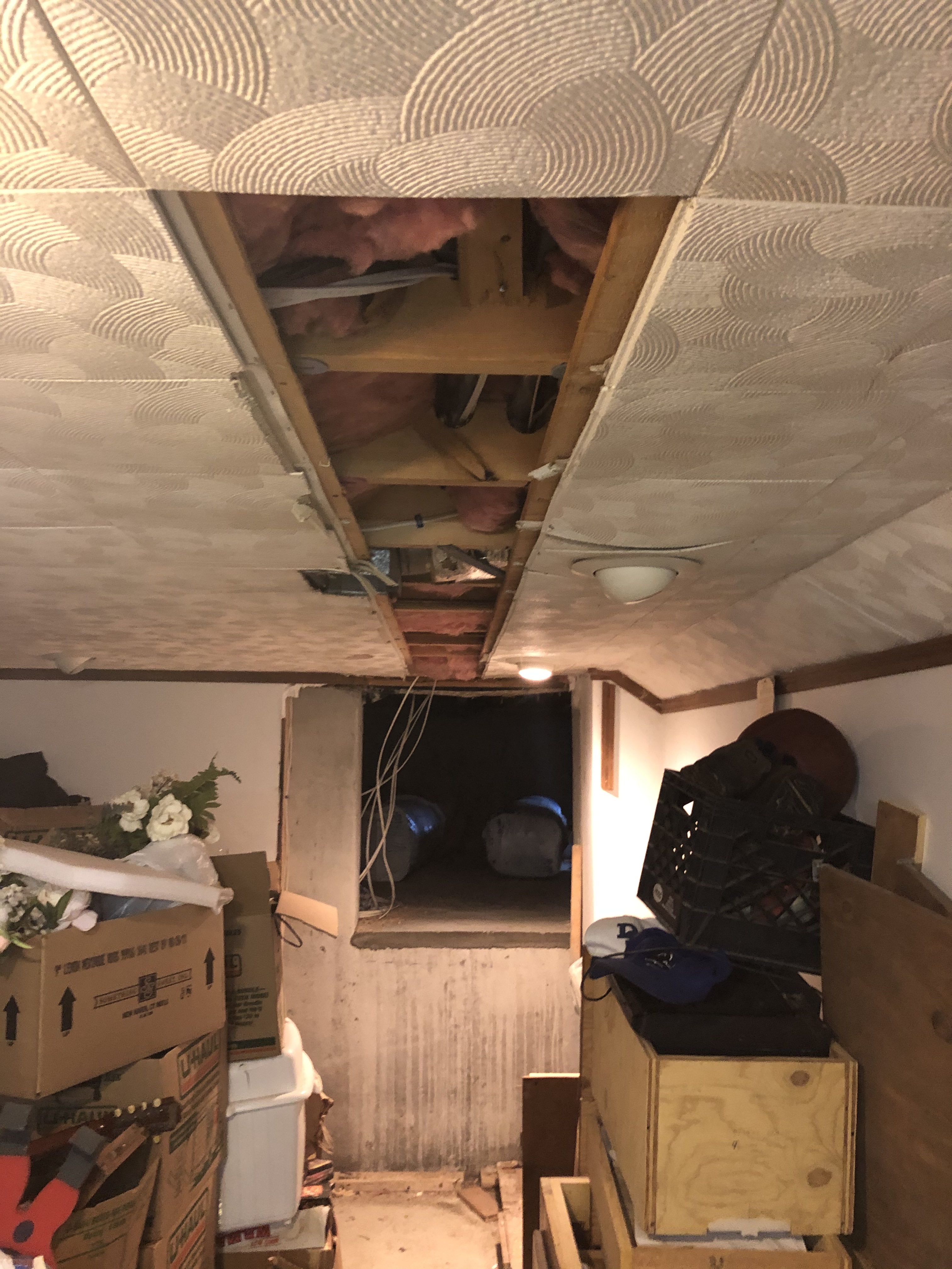 New Ceiling / Insulation