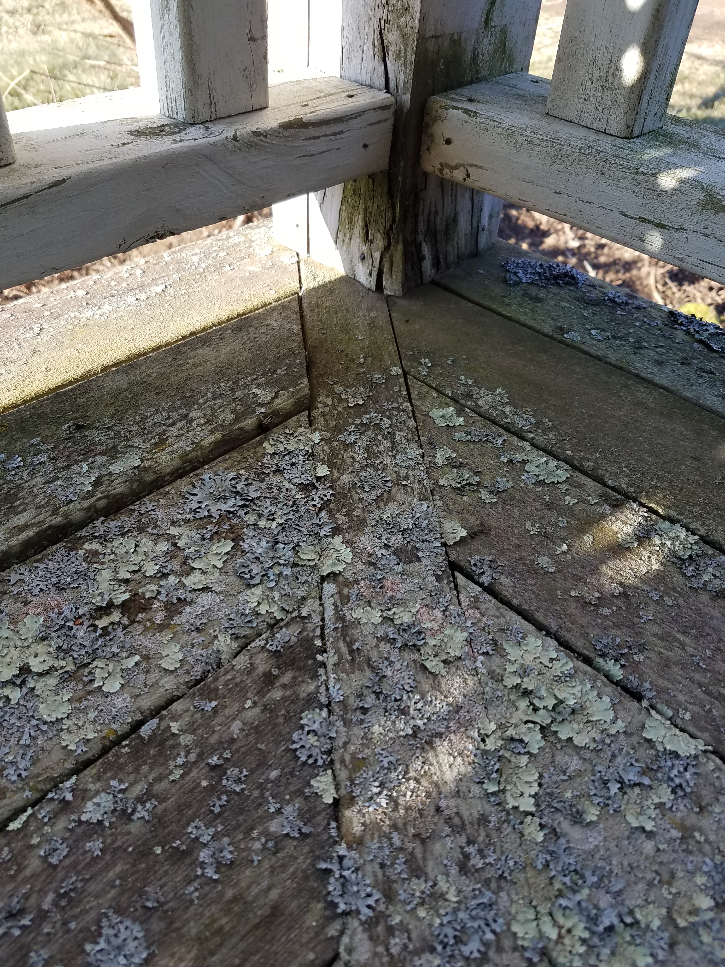 Before:  Front Porch