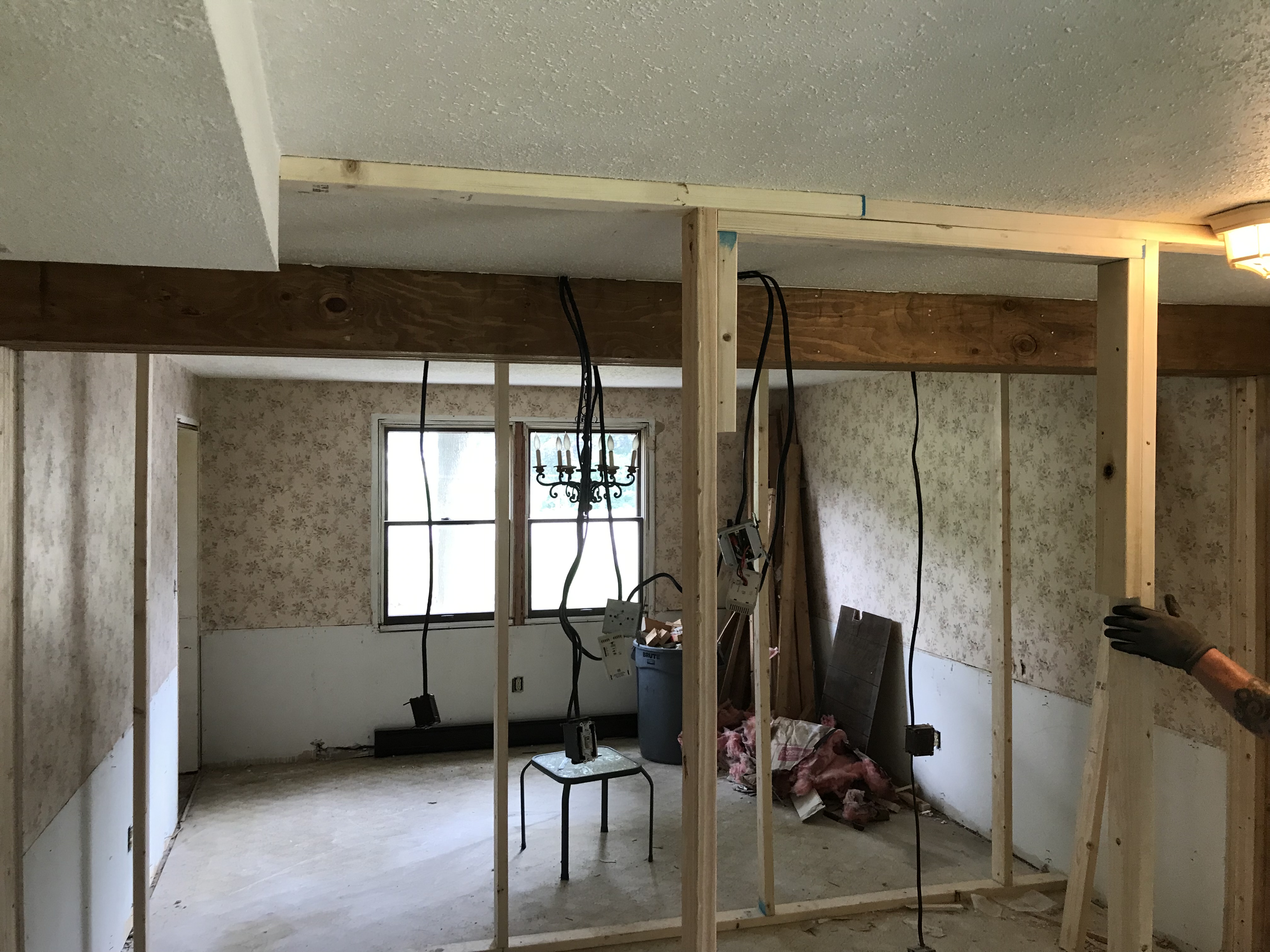 Dining Room Demolition