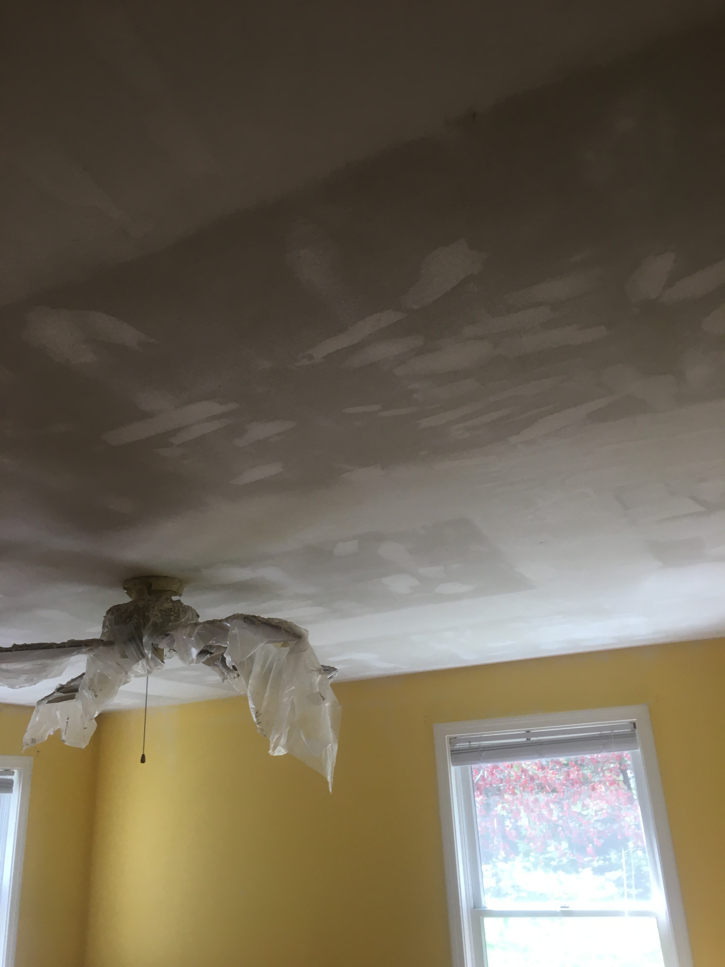 Ceiling Prep