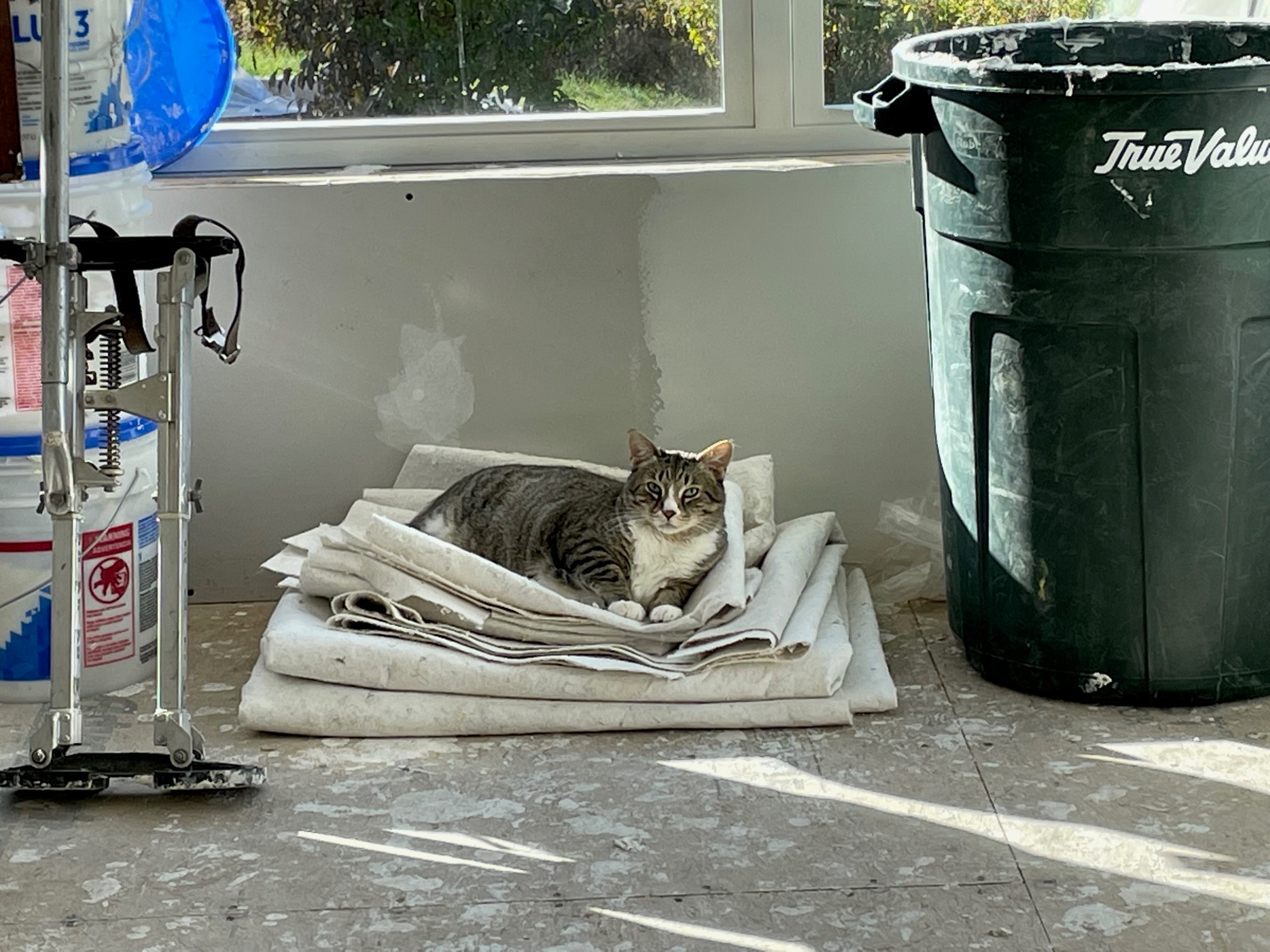 Supervisor in Action